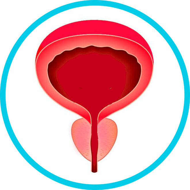 Prevencija prostatitisa